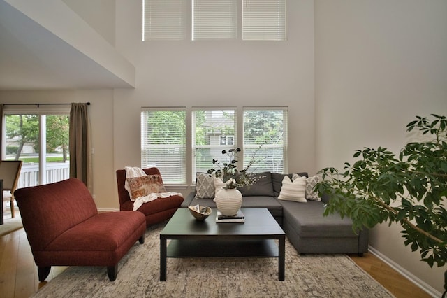 6131 Wingate Dr, Lisle, IL 60532 - living room with a towering ceiling, wood finished floors, and baseboards