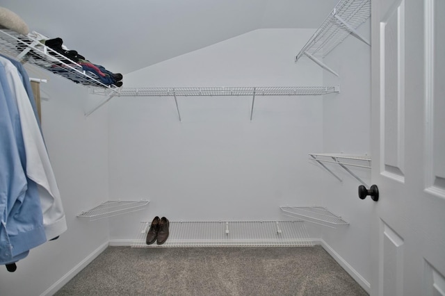 6131 Wingate Dr, Lisle, IL 60532 - walk in closet with carpet flooring and lofted ceiling