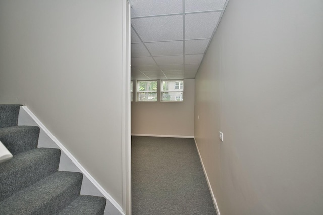 6131 Wingate Dr, Lisle, IL 60532 - stairway with a drop ceiling, carpet floors, and baseboards