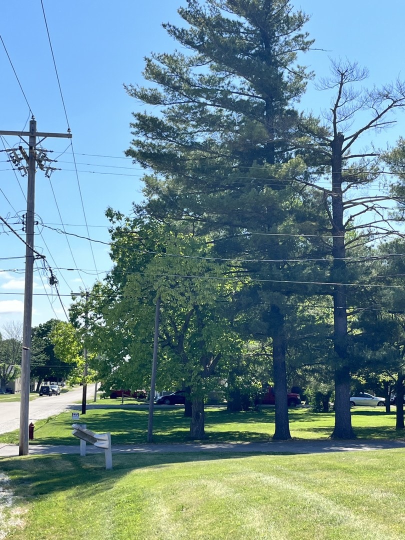 0 N Lasalle Ave, Ladd, IL 61329