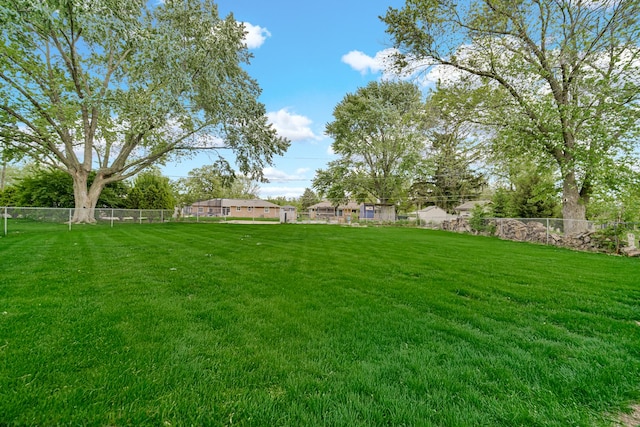 1455 Reckinger Rd, Aurora, IL 60505 - view of yard