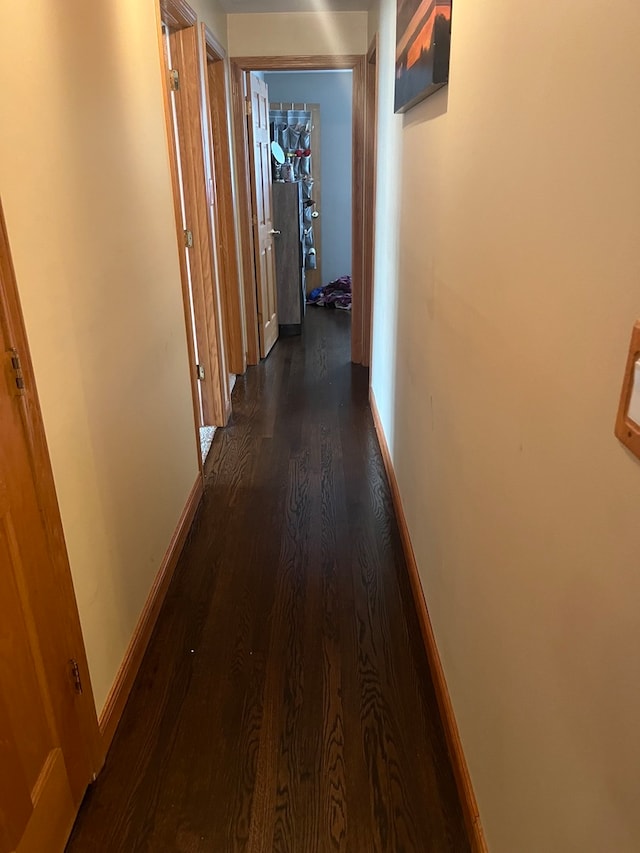 12409 44th Ct, Alsip, IL 60803 - hallway featuring dark wood-type flooring and baseboards