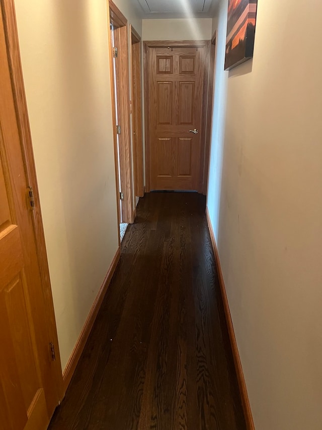 12409 44th Ct, Alsip, IL 60803 - corridor with dark wood finished floors and baseboards