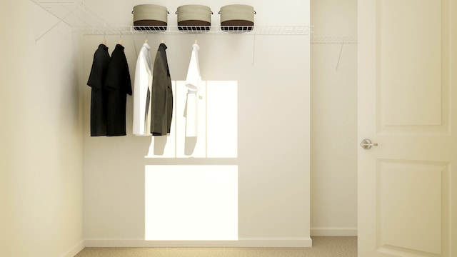 2266 Stonegate Rd, Algonquin, IL 60102 - walk in closet featuring carpet floors