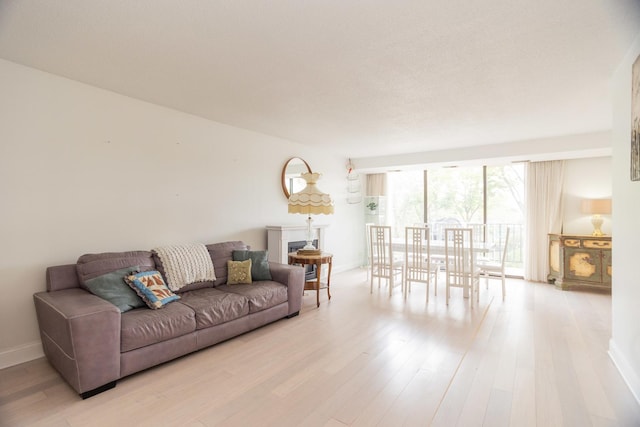 2 S Atrium Way Unit 208, Elmhurst, IL 60126 - living area with light wood-style floors and baseboards
