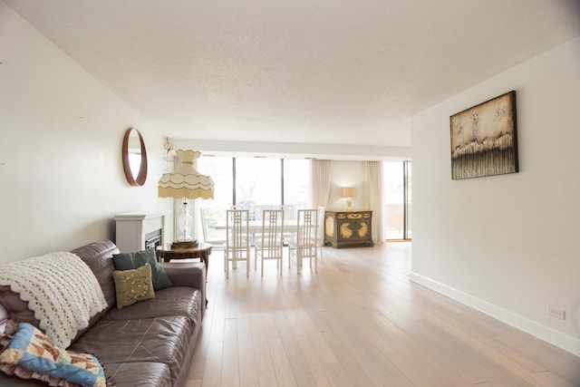 2 S Atrium Way Unit 208, Elmhurst, IL 60126 - living area with wood finished floors and baseboards