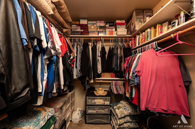 17207 Chase Rd, Dekalb, IL 60115 - walk in closet with carpet floors
