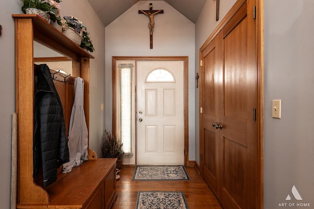 17207 Chase Rd, Dekalb, IL 60115 - foyer entrance featuring wood finished floors and lofted ceiling