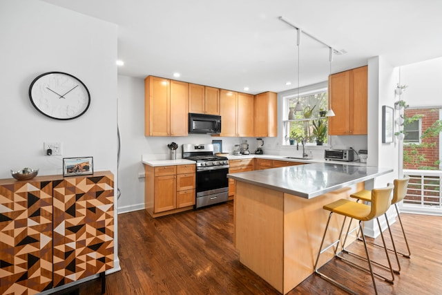 5510 S Cornell Ave Unit E, Chicago, IL 60637 - kitchen featuring stainless steel range with gas cooktop, black microwave, a sink, rail lighting, and dark wood-style floors
