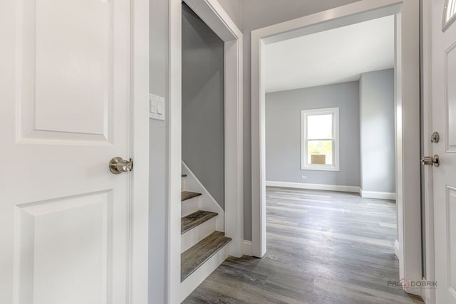 196 Southgate Ave, Chicago Heights, IL 60411 - staircase featuring baseboards and wood finished floors