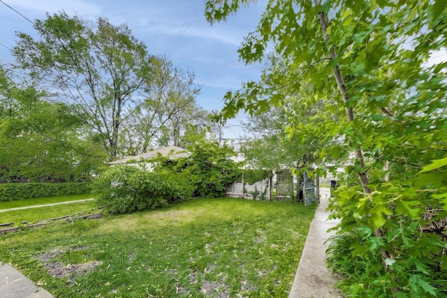 7649 S Dobson Ave, Chicago, IL 60619 - view of grassy yard