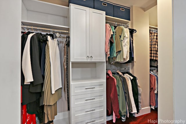 1116 Stonegate Ct, Bartlett, IL 60103 - walk in closet featuring carpet
