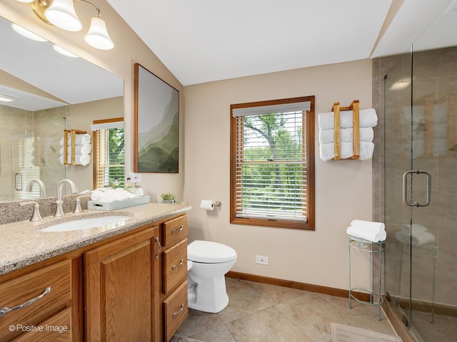 2111 Ohio St, Lisle, IL 60532 - bathroom featuring vanity, healthy amount of natural light, a shower stall, toilet, and vaulted ceiling