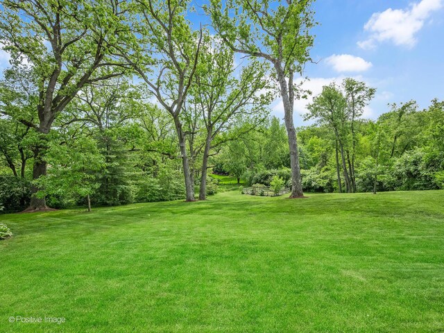 2111 Ohio St, Lisle, IL 60532 - view of green lawn
