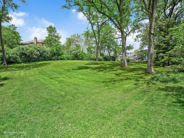 2111 Ohio St, Lisle, IL 60532 - view of grassy yard