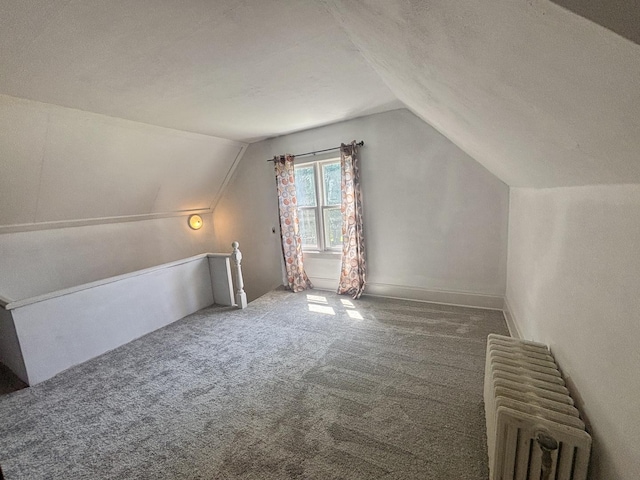 418 Starr St, Belvidere, IL 61008 - bonus room featuring radiator, vaulted ceiling, and carpet