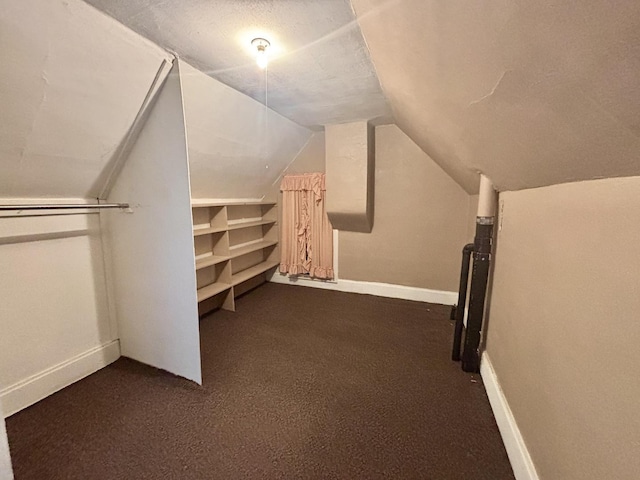 418 Starr St, Belvidere, IL 61008 - spacious closet with vaulted ceiling and dark colored carpet