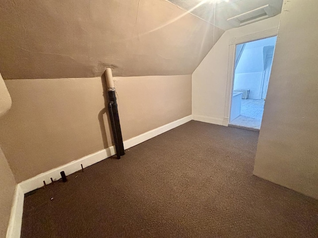 418 Starr St, Belvidere, IL 61008 - additional living space with lofted ceiling, baseboards, and dark colored carpet