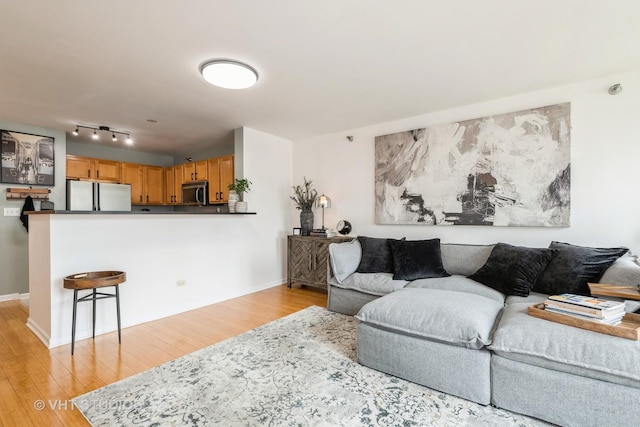 345 N Lasalle Dr Unit 802, Chicago, IL 60610 - living room featuring light wood-type flooring