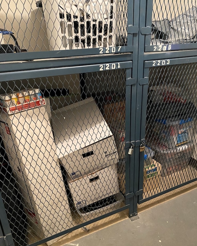 430 Walnut Ave Unit 2201, Lisle, IL 60532 - view of storage