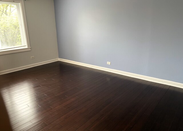430 Walnut Ave Unit 2201, Lisle, IL 60532 - empty room featuring healthy amount of natural light, dark wood-style floors, and baseboards