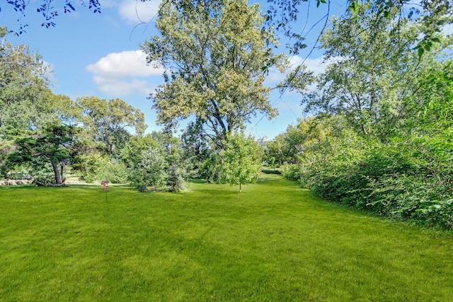 12599 S Archer Ave, Lemont, IL 60439 - view of grassy yard