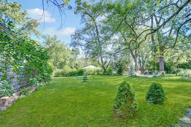 12599 S Archer Ave, Lemont, IL 60439 - view of grassy yard
