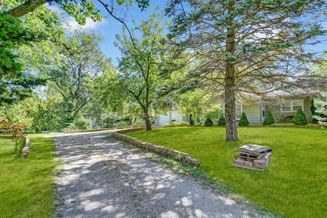 12599 S Archer Ave, Lemont, IL 60439 - view of dirt / gravel driveway