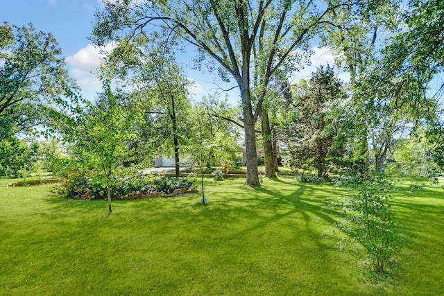 12599 S Archer Ave, Lemont, IL 60439 - view of green lawn