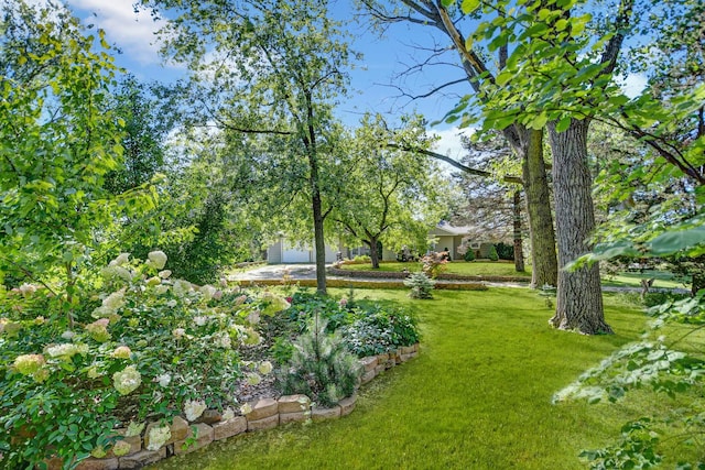 12599 S Archer Ave, Lemont, IL 60439 - view of green lawn