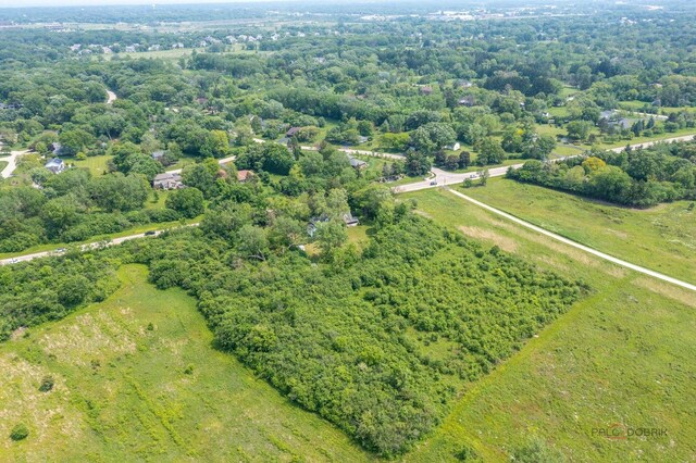 30128 N Saint Marys Rd, Libertyville, IL 60048 - photo 4
