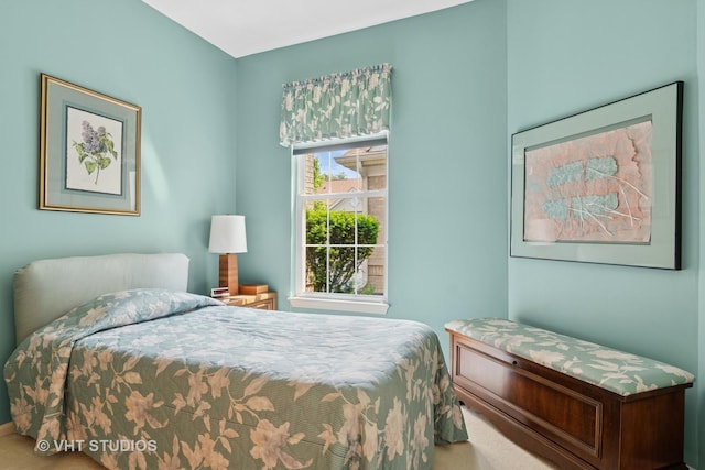 21513 W Douglas Ln, Plainfield, IL 60544 - view of carpeted bedroom