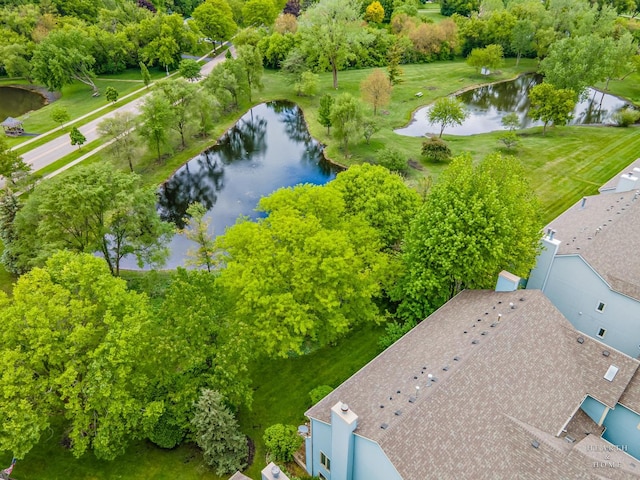 358 Bristol Ln, Fox River Grove, IL 60021 - bird's eye view of a large body of water and a tree filled landscape