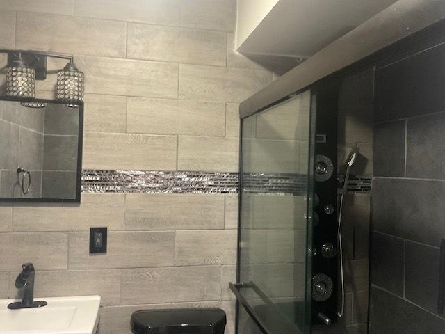 7854 S S Shore Dr Unit 306, Chicago, IL 60649 - bathroom featuring a shower and vanity