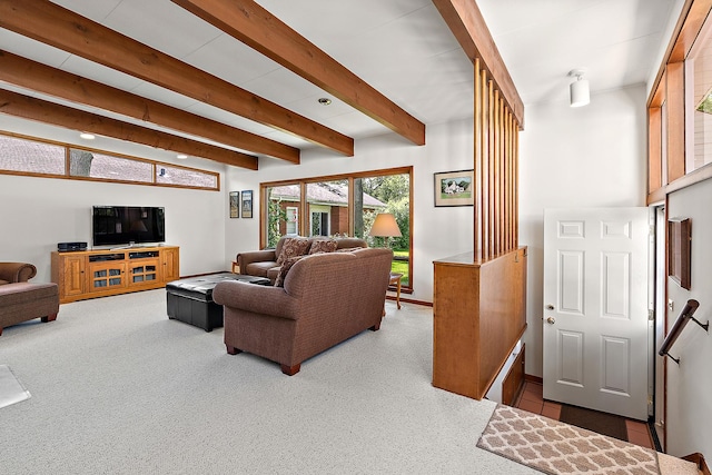 1144 Leavitt Ave, Flossmoor, IL 60422 - living room featuring beamed ceiling and carpet flooring