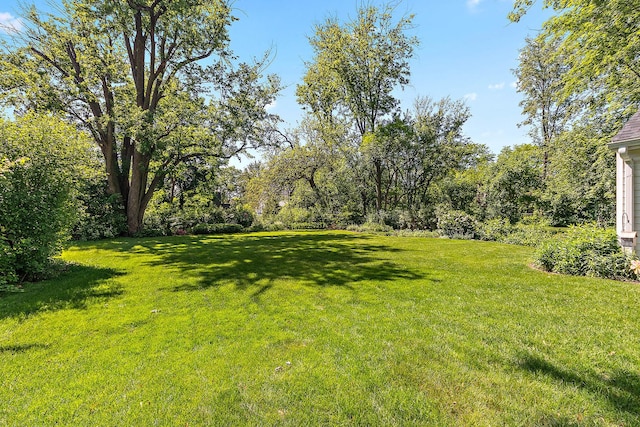 1144 Leavitt Ave, Flossmoor, IL 60422 - view of grassy yard