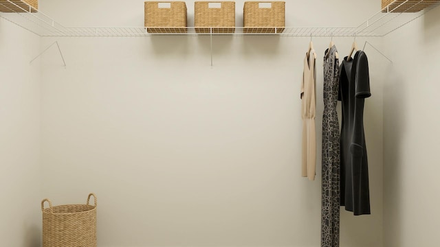 1030 Waterford St, Algonquin, IL 60102 - view of walk in closet