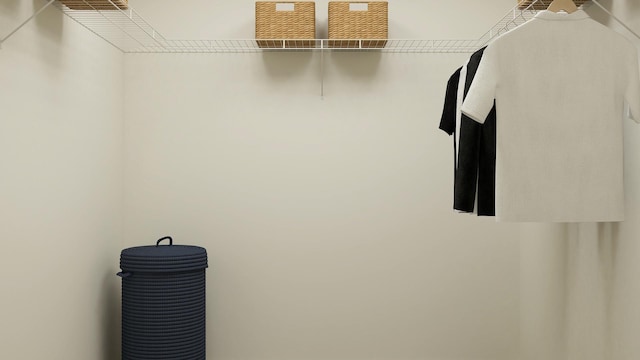 1030 Waterford St, Algonquin, IL 60102 - view of spacious closet