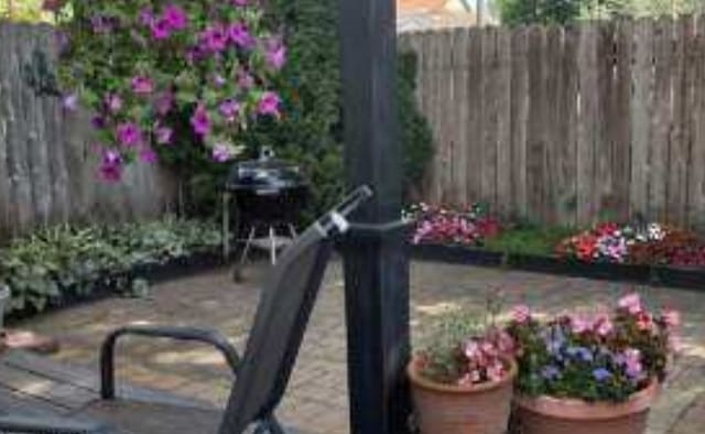 4419 S Wallace St, Chicago, IL 60609 - view of patio / terrace