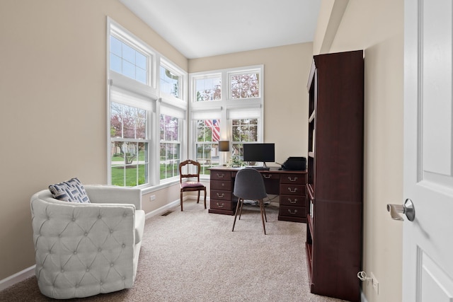 538 Pembrook Ct S, Crystal Lake, IL 60014 - carpeted home office with plenty of natural light and baseboards