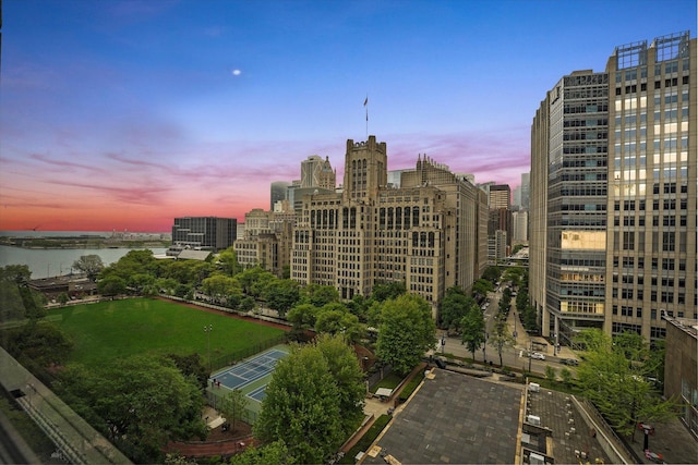 222 E Pearson St Unit 1504, Chicago, IL 60611 - view of city featuring a large body of water