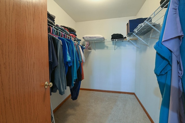 1804 Westbrook Ct, Plainfield, IL 60586 - spacious closet with carpet flooring