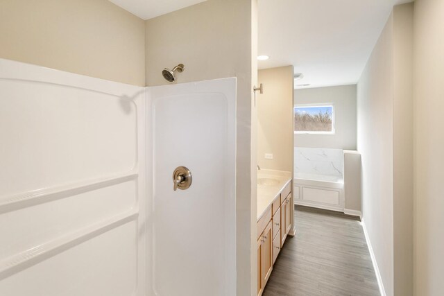 22429 Karlov Ave, Richton Park, IL 60471 - full bathroom with vanity, wood finished floors, and a shower