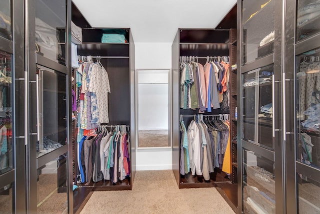 731 W Kenilworth Ave, Palatine, IL 60067 - view of walk in closet