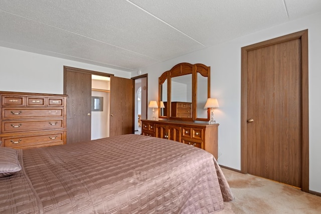 6950 W Forest Preserve Dr Unit 215, Norridge, IL 60706 - bedroom featuring light carpet and a textured ceiling