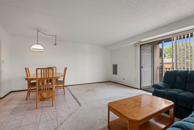 6950 W Forest Preserve Dr Unit 215, Norridge, IL 60706 - living room with a textured ceiling, baseboards, and light carpet