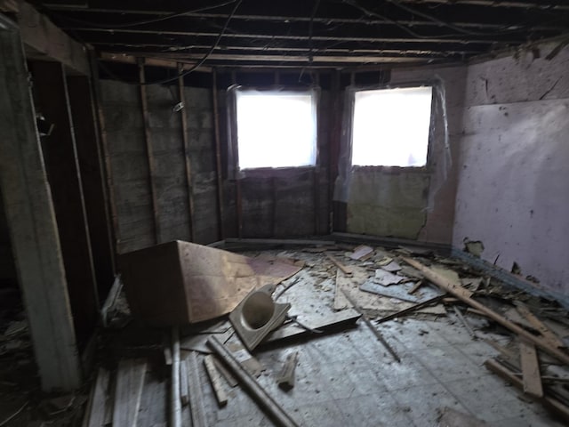 8408 S Baker Ave, Chicago, IL 60617 - view of below grade area