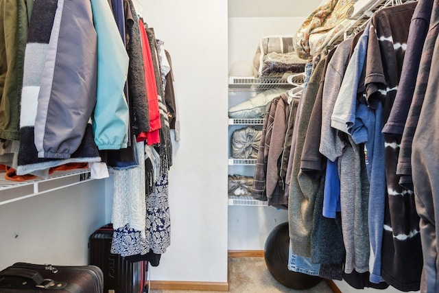 5 Crimson Ct, Lake In The Hills, IL 60156 - walk in closet with carpet floors