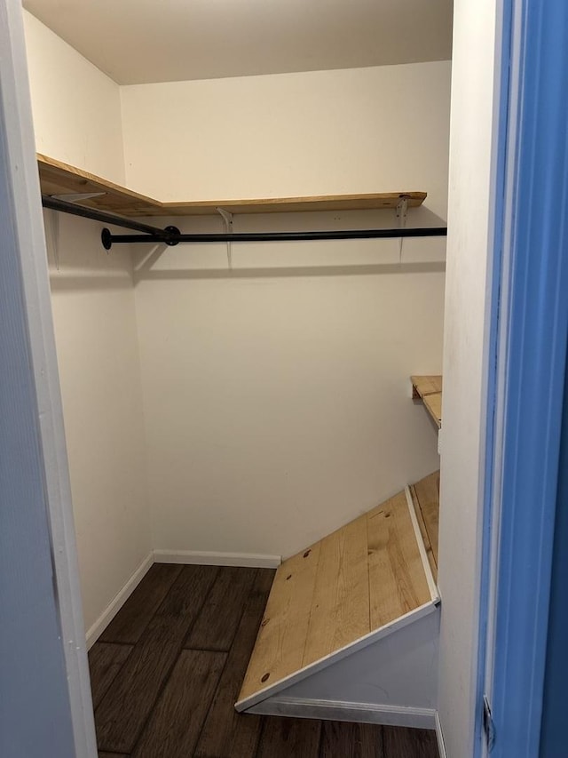 walk in closet with dark wood-style flooring