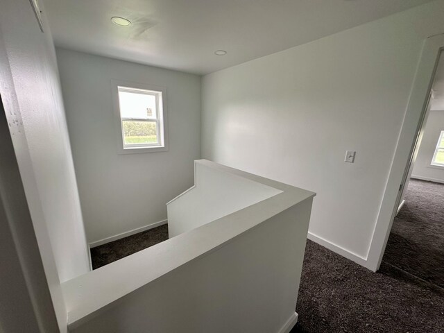 2452 E 350th Rd, Oglesby, IL 61348 - photo 23
